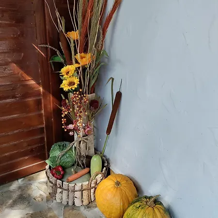 Lecic Lejlighedshotel 4*