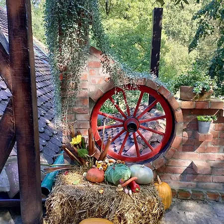 Lecic Aparthotel Trsic