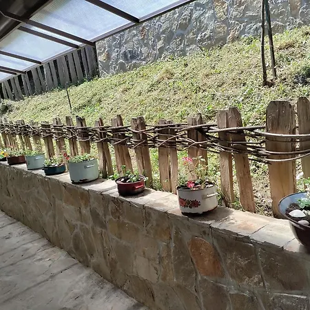 Hotel de apartamente Lecic