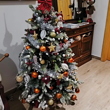 Lecic Aparthotel Trsic