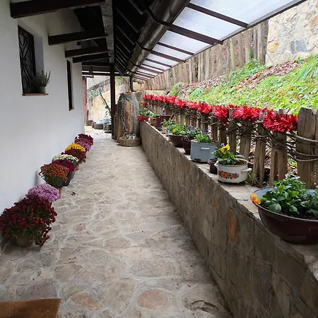 Lecic Aparthotel